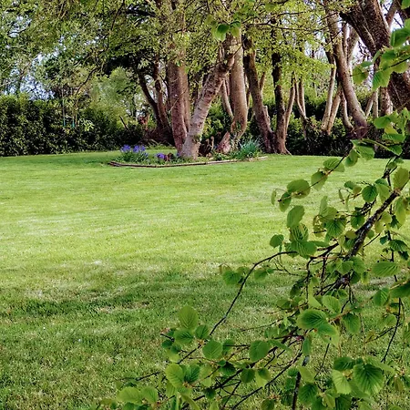 Laurel * 웩스퍼드