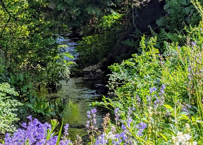 Laurel * Wexford